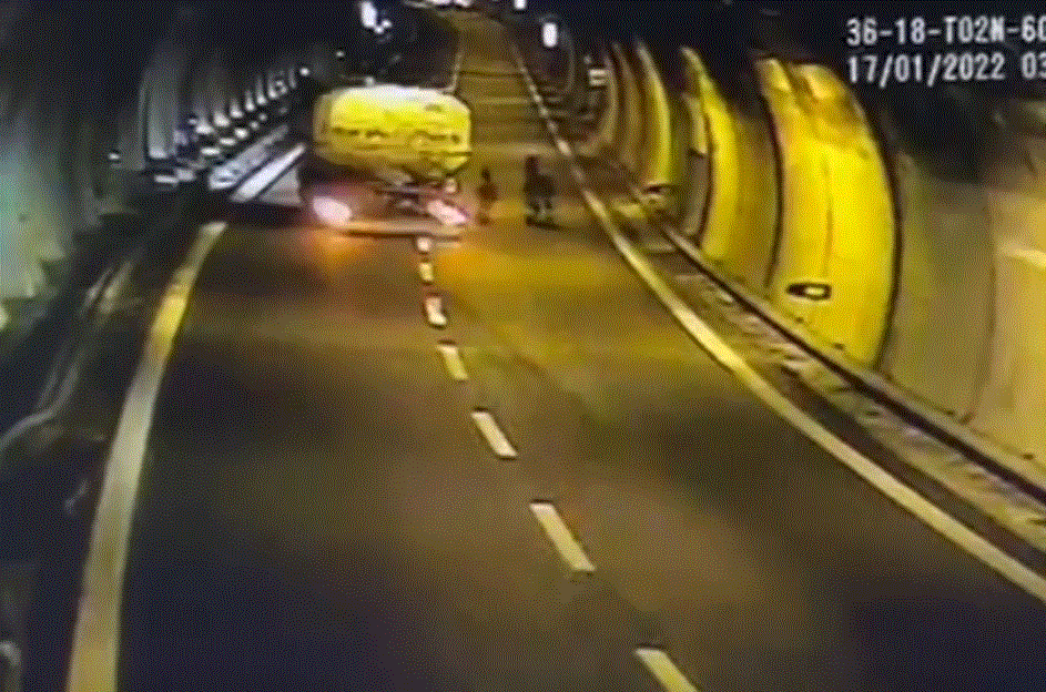 Asini in galleria statale 36