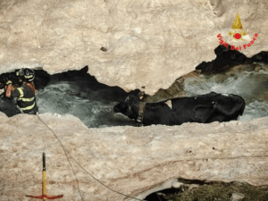 salvata dai Vigili del Fuoco