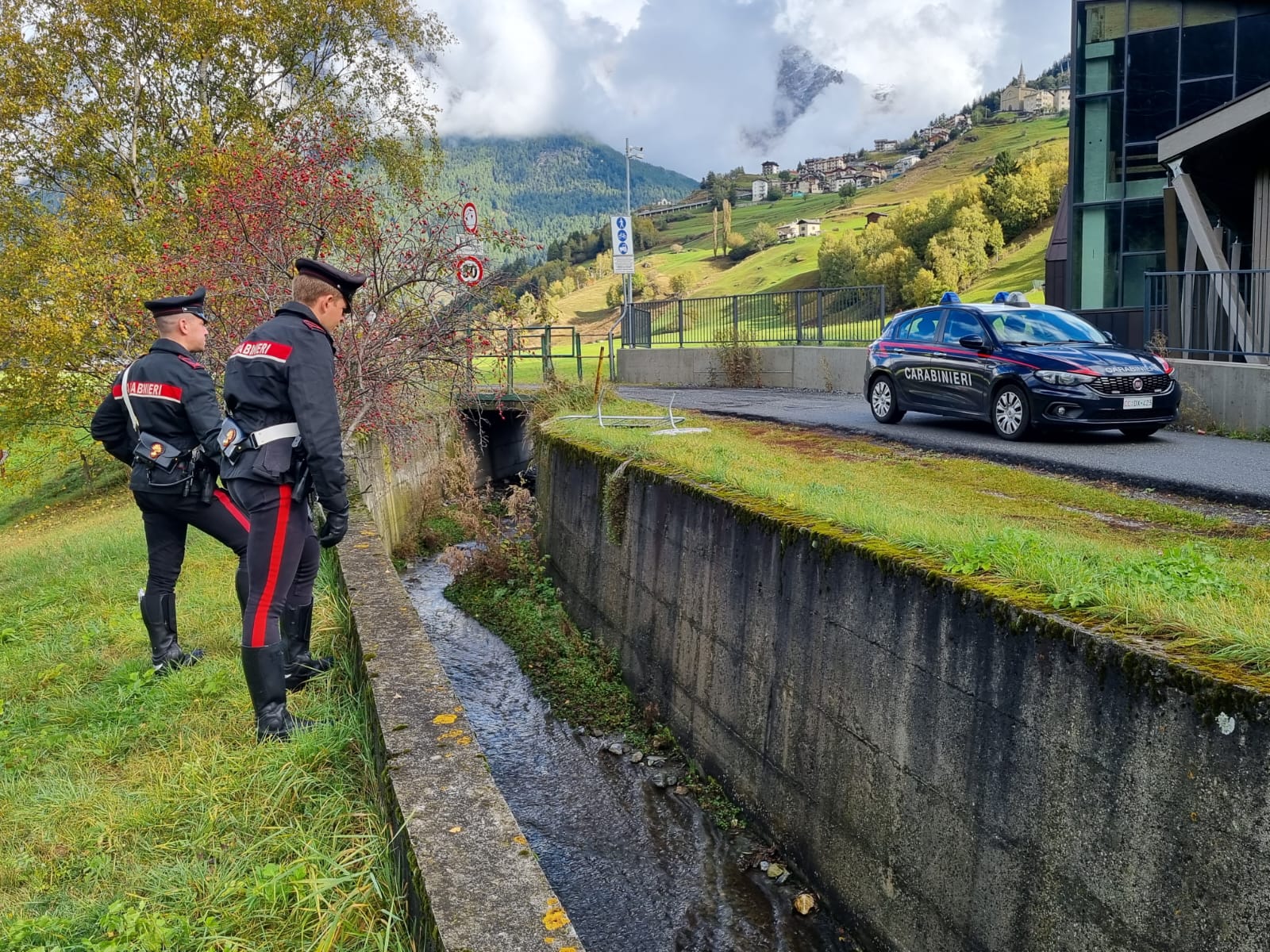 salvato dai Carabinieri