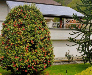 Quanto paga il Ritiro Dedicato