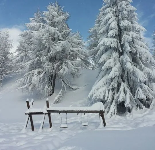 alpe motta un angolo di paradiso