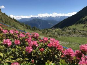 alpe schiazzera escursione intorno al monte masuccio