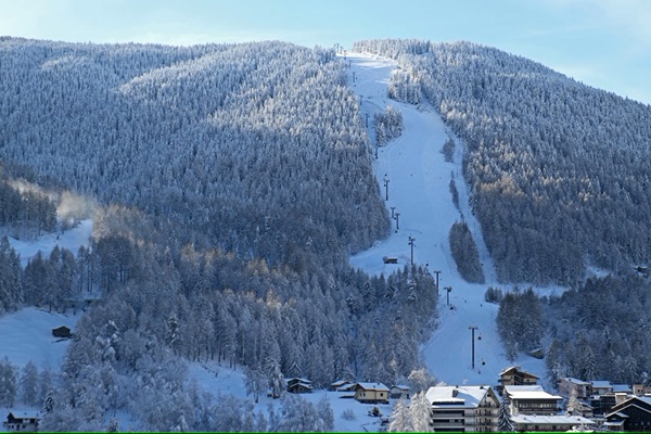 turisti soccorrono e riconsegnano un cagnolino
