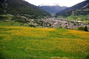 basta poco tempo in montagna per stare subito meglio