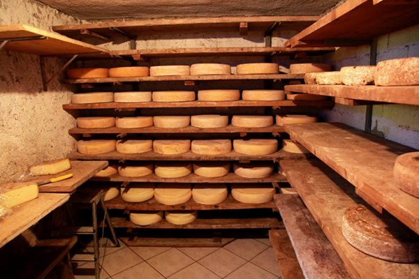 bitto dop valtellina casera dop