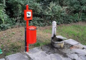 bonus animali domestici