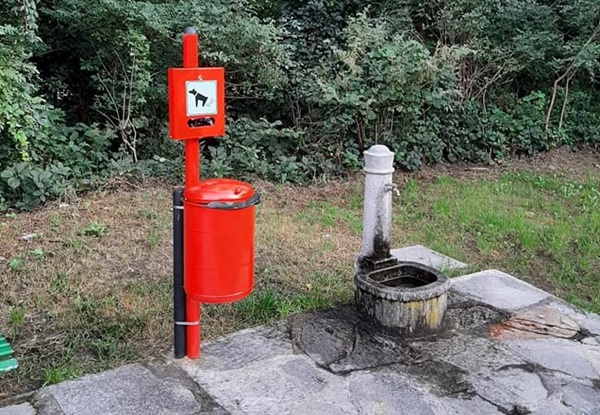 bonus animali domestici