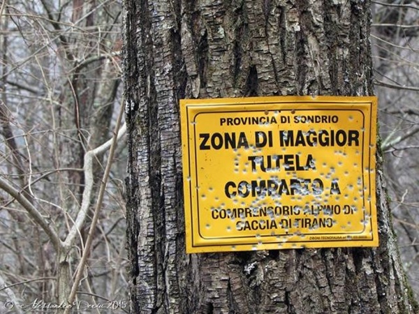 caccia in valtellina