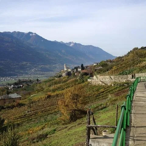 Camminata invernale sull'anello di Poggiridenti