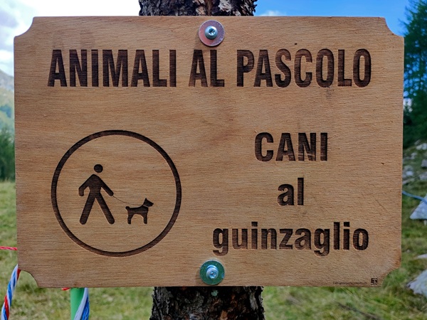 cani in montagna guinzaglio obbligatorio o no