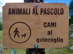 cani in montagna regole e divieti