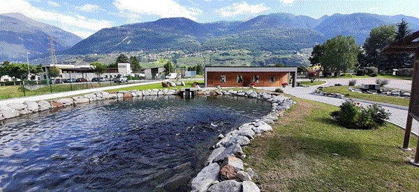 centro ittiogenico di faedo valtellino