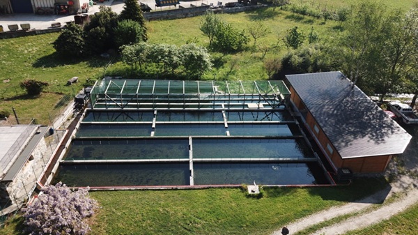 centro ittiogenico di samolaco