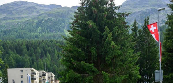 che stipendio bisogna avere per vivere in svizzera