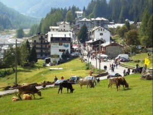 la perla della valmalenco