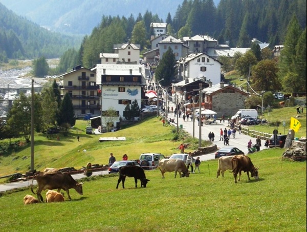 la perla della valmalenco