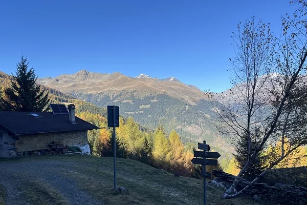 come affrontare i muri gelidi rimedi pratici ed efficaci