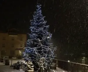 come evitare che prenda fuoco l'albero di natale