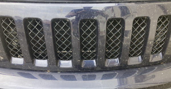 come rimuovere i moscerini dalle auto