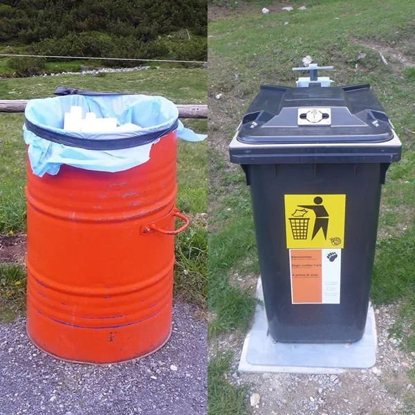 come tenere lontano gli orsi