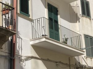 cosa mettere sulla ringhiera del balcone per allontanare i piccioni