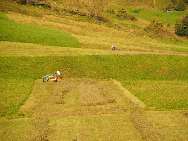 cosa si può costruire su terreni non edificabili