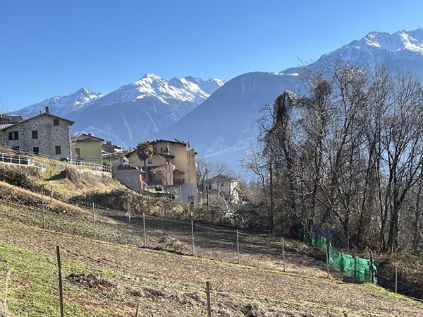 di chi è la rete sul sul confine