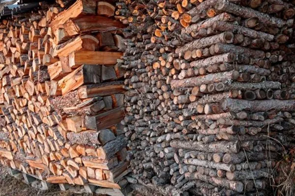 resine e stagionatura della legna da ardere