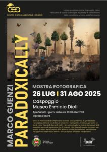 dioli museum caspoggio|dioli museum caspoggio