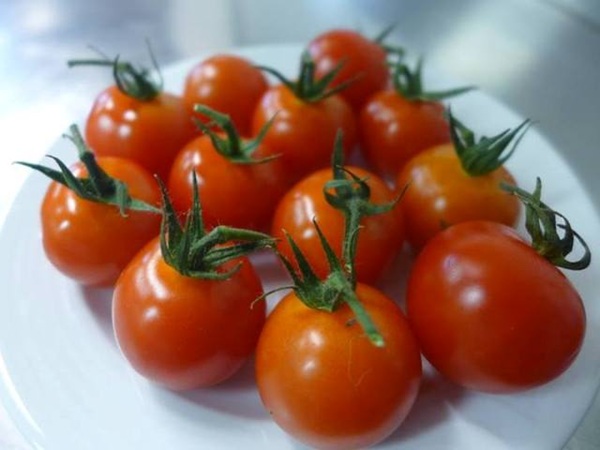 Dove conservare i pomodori in cucina Evita l’errore comune