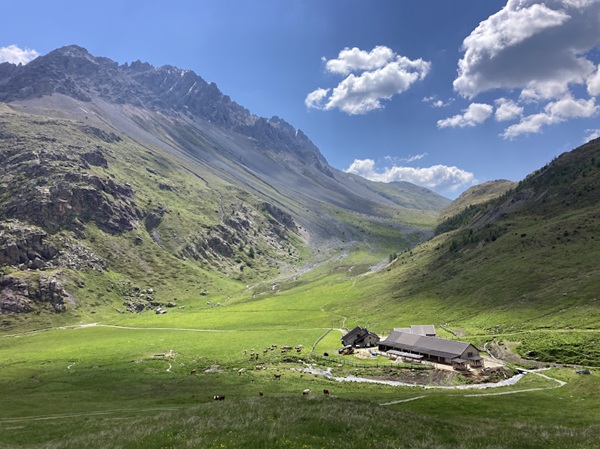 escursione all'alpe trela e alpisella