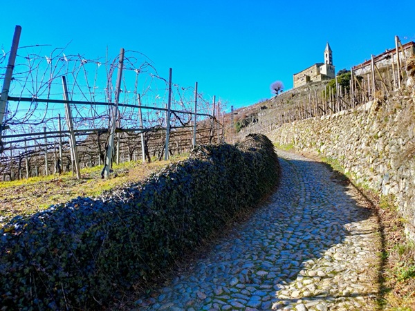 escursioni a impatto zero