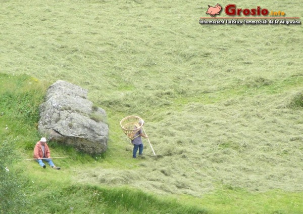 falciare i prati in montagna contribuisce a tanto