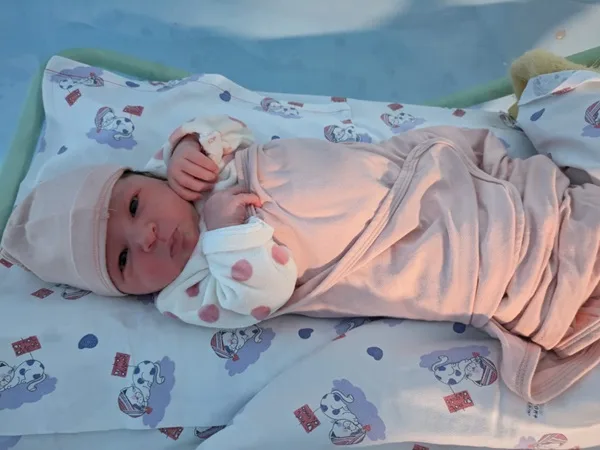 fiocco rosa a sondrio per aprire il 2025