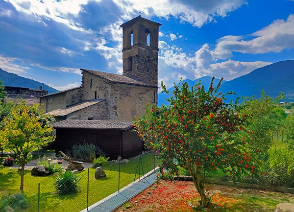 foglie del vicino nel proprio spazio cosa dice la normativa
