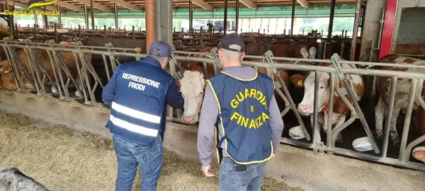 sette perquisizioni della guardia di finanza