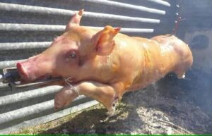 fumi e odori del barbecue le regole per le emissioni