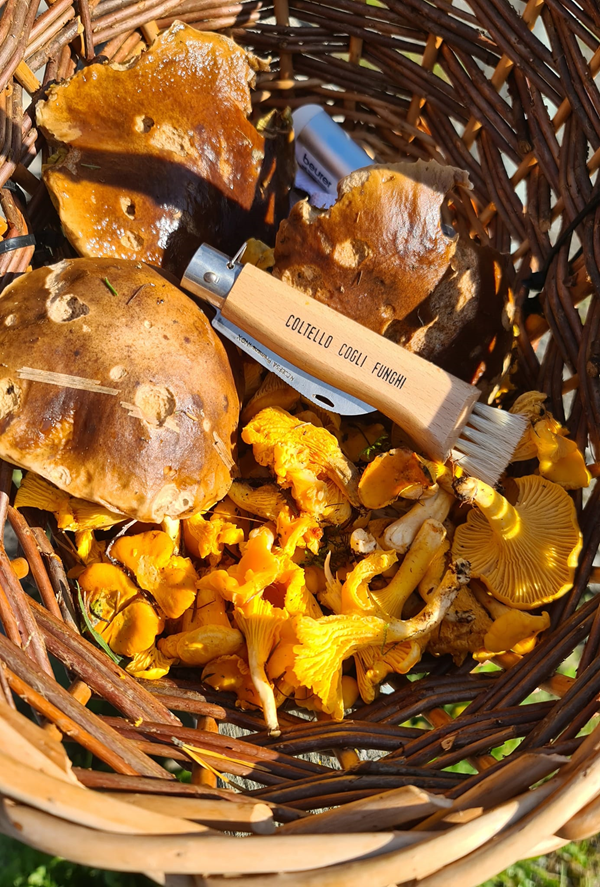 fungaiolo ritrovato morto in una valletta a isola