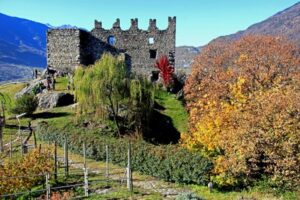 giornate fai primavera valtellina