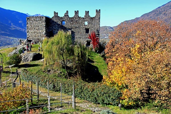 giornate fai primavera valtellina