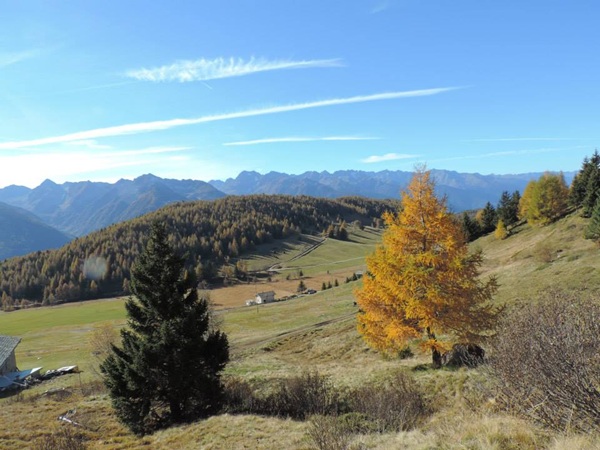 il balcone stellato della valtellina