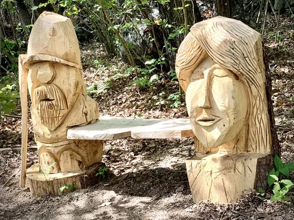 il bosco co vivo un sentiero incantato a dazio