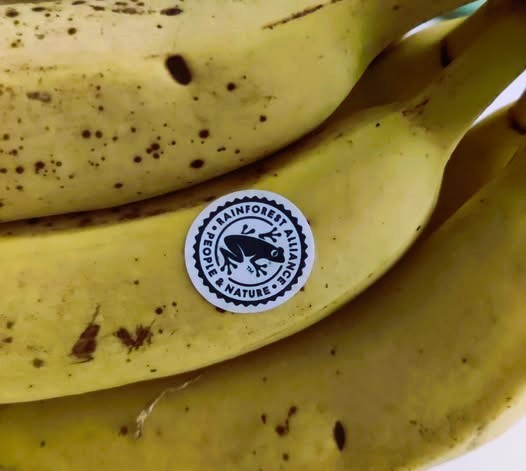 il nemico silenzioso il gas che rovina le banane