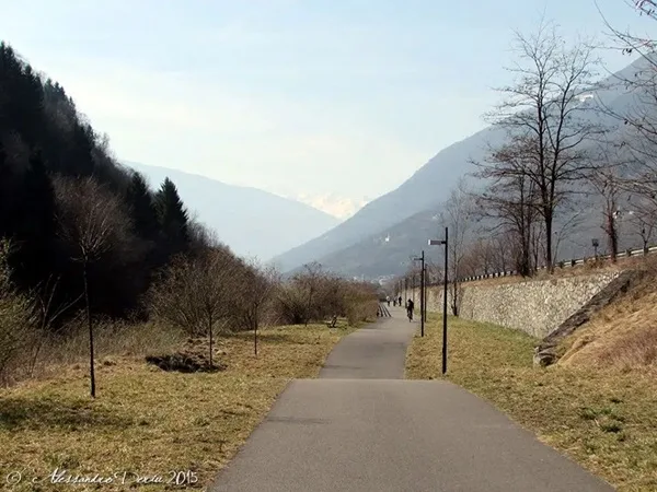 il poco rispettato divieto di trainare animali in bici