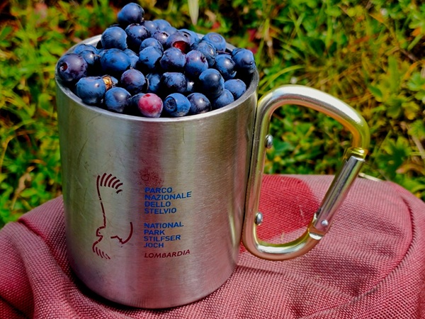 il rimedio dei tappi di sughero nella frutta