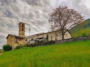 il vicino può piantare alberi vicini al confine