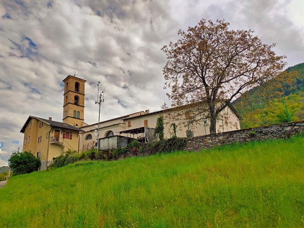 il vicino può piantare alberi vicini al confine