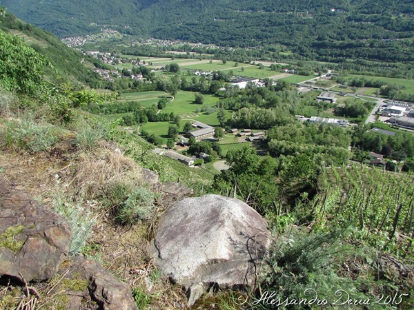 la dama di castionetto|