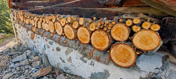 la legna da evitare per il camino