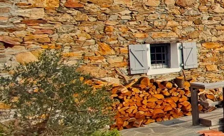 la legna da non bruciare nel camino o nella stufa